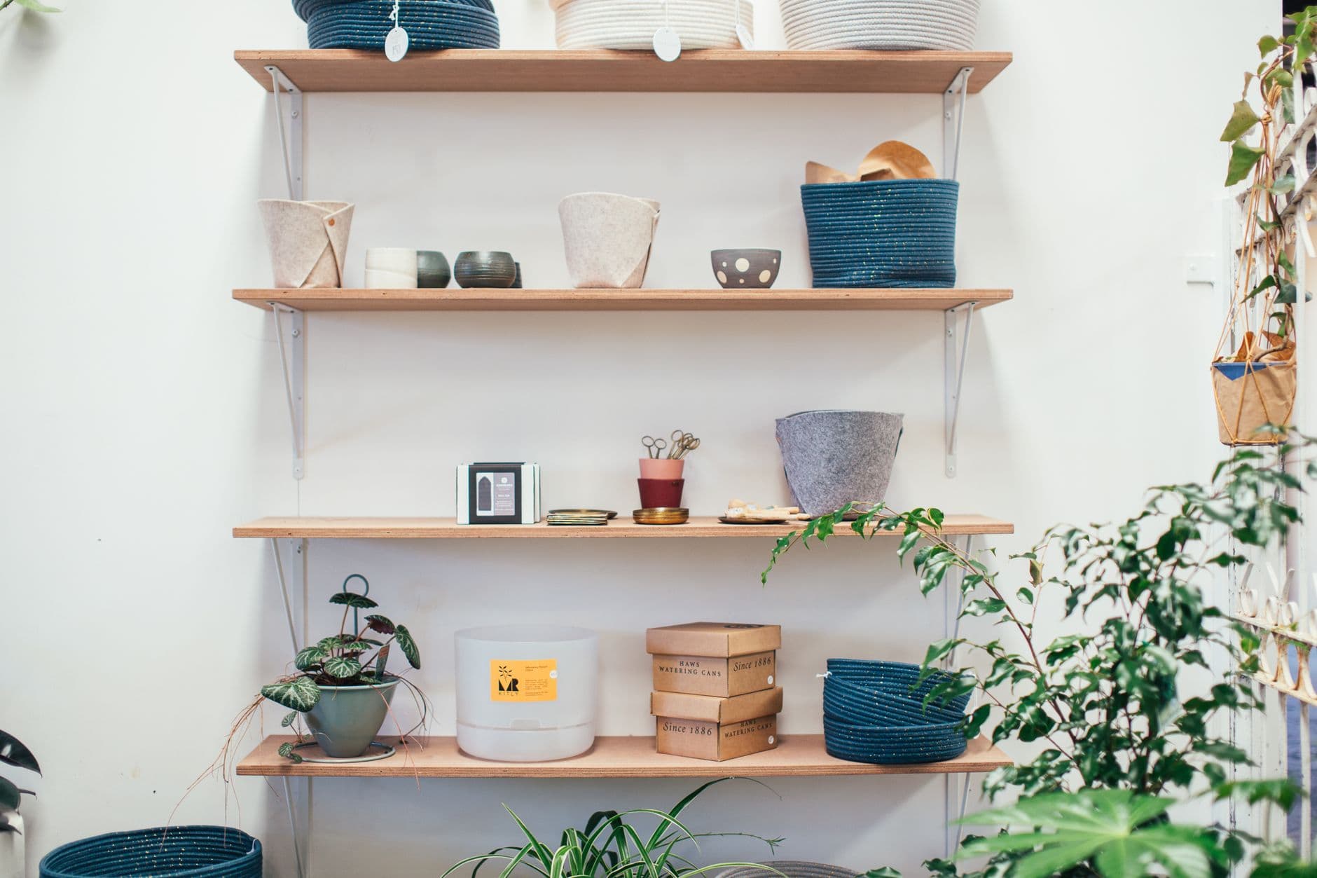 Wooden shelf with plants and decorative objects